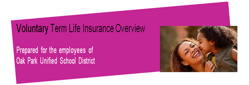 Business Services / Voluntary Group Life Insurance
